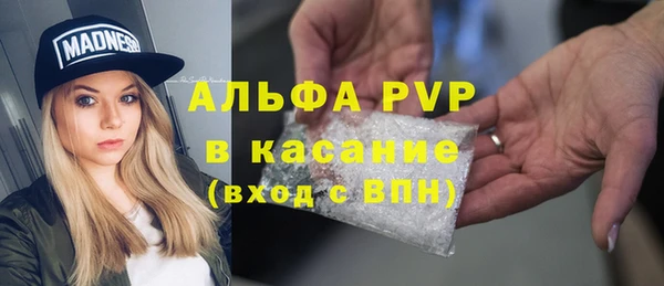 ГАЛЛЮЦИНОГЕННЫЕ ГРИБЫ Волосово