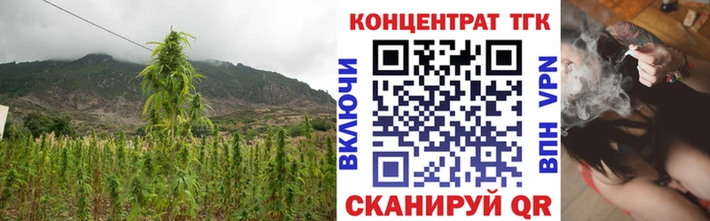 ТГК THC oil  mega ссылки  Карабулак  где купить  