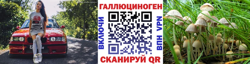дарнет шоп  Карабулак  Псилоцибиновые грибы ЛСД 